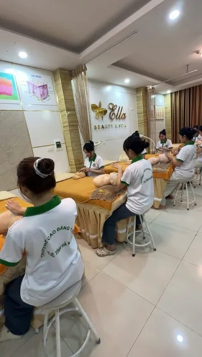 Trường Cao Đẳng Y Dược Tuệ Tĩnh Hà Nội